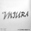 ステンレス表札 切文字表札 おしゃれなデザインサイン 「グラム 無地タイプ ※1文字」 インパクトのあるレーザーカットの切り文字表札| ひょうさつ ネームプレート 戸建 おしゃれ モダン ジューシーガーデン 玄関 戸建て表札 リフォーム 戸建表札 お洒落表札 屋外