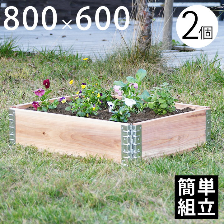 【木製プランター】 【砂場】 【花壇】 「upyard ガーデンボックス Eco 800×600 2個セット ナチュラル」