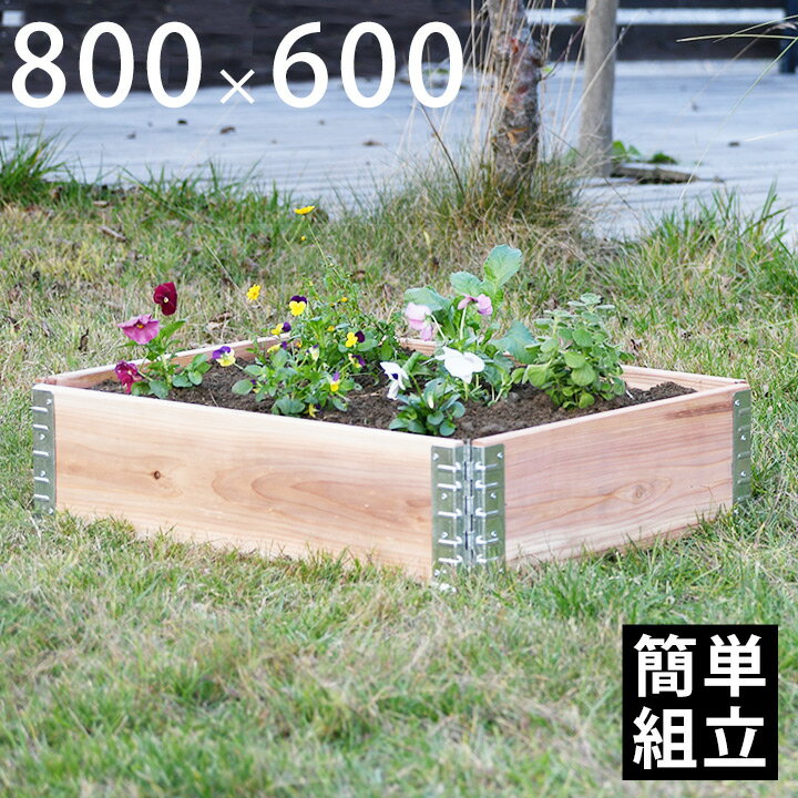 【木製プランター】 【砂場】 【花壇】 「upyard ガーデンボックス Eco 800×600 ナチュラル」