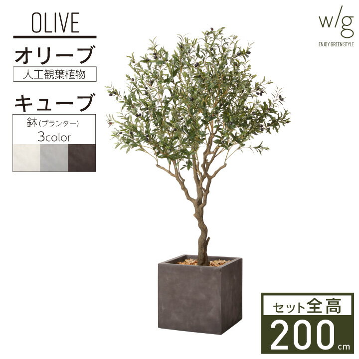 フェイクグリーン 大型 2m 特大 「オリーブL×Cube w/g」 高さ200cm 人工観葉植物 インテリアグリーン プランター