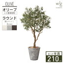 フェイクグリーン 大型 リアル 2m～ 「オリーブL×Round w/g」 高さ210cm 人工観葉植物 鉢セット インテリアグリーン プランター 簡単組立 おしゃれ リアル 室内 オフィス