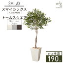 フェイクグリーン鉢セット 大型 「スマイラックス×Tall Square w/g」 高さ190cm 人工観葉植物 インテリアグリーン プランター 簡単組立 おしゃれ リアル 室内 オフィス