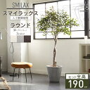 フェイクグリーン鉢セット 大型 「スマイラックス×Round w/g」 高さ180cm 人工観葉植物 インテリアグリーン プランター 簡単組立 おしゃれ リアル...