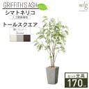 フェイクグリーン鉢セット 大型「シマトネリコ×トールスクエア w/g-eco」高さ170cm 人工観葉植物 インテリアグリーン プランター 簡単組立 おしゃれ ...