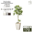 フェイクグリーン鉢セット 大型 「パキラ×Tall Square w/g」 高さ170cm 人工観葉植物 インテリアグリーン プランター 簡単組立 おしゃれ リアル 室内 オフィス