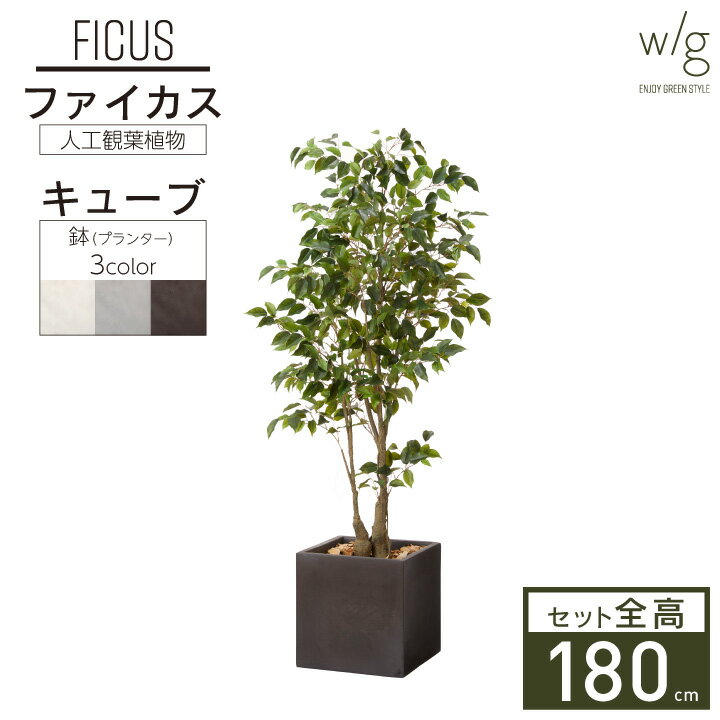 フェイクグリーン鉢セット 大型「ファイカス×Cube w/g」高さ180cm フィカス ベンジャミン ゴムの木 人工観葉植物 インテリアグリーン プランター 簡単組立 おしゃれ リアル 室内 オフィス