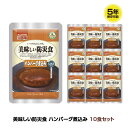 \155円OFFクーポン・7/26 1:59迄/ 5年保存 非常食 おかず UAA食品 美味しい防災食 ハンバーグ煮込み 10袋セット