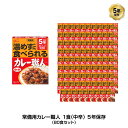 5年保存 非常食 江崎グリコ 常備用カレー職人 カレー 中辛 1食分(170g) 80食セット