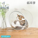 PET素材 スケルトンボール 猫耳型 猫のくつろぎタイム