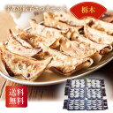 \150円OFFクーポン・5/16 1:59迄/ 栃木 宇都宮餃子さつきセット ギフト 詰め合わせ 産直品 御中元 御歳暮 内祝 香典返し 栃木県