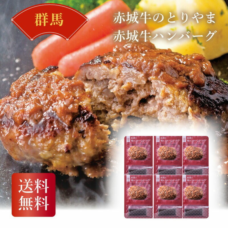 群馬 赤城牛のとりやま 赤城牛ハンバーグ ギフト 詰め合わせ 産直品 御中元 御歳暮 内祝 香典返し 群馬県