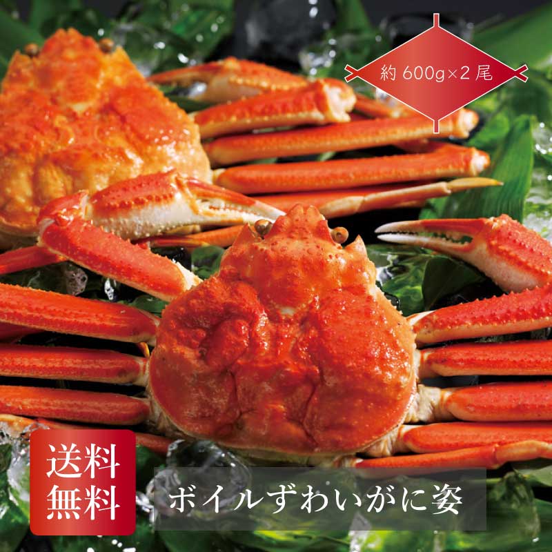 ボイルずわいがに姿2尾 ギフト 詰め合わせ 産直品 御中元 御歳暮 内祝 香典返し カニ