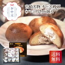 宮崎名物 チーズ饅頭(プレミアム)16個入 お中元 贈り物 ギフト 直送 宮崎県