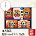 丸大食品 煌彩ハムギフト No30 お中元 贈り物 ギフト 直送