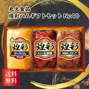 丸大食品 煌彩ハムギフトセット No40 詰め合わせ 御中元 御歳暮 内祝 香典返し