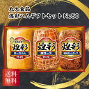 \155円OFFクーポン・7/26 1:59迄/ 丸大食品 煌彩ハムギフトセット No50 詰め合わせ 御中元 御歳暮 内祝 香典返し
