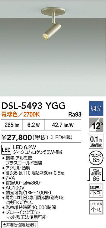 Lighting - 5/23〜5/27 お買い物マラソン 最大47倍　【最安値に挑戦】　 大光　DSL-5493YGG
