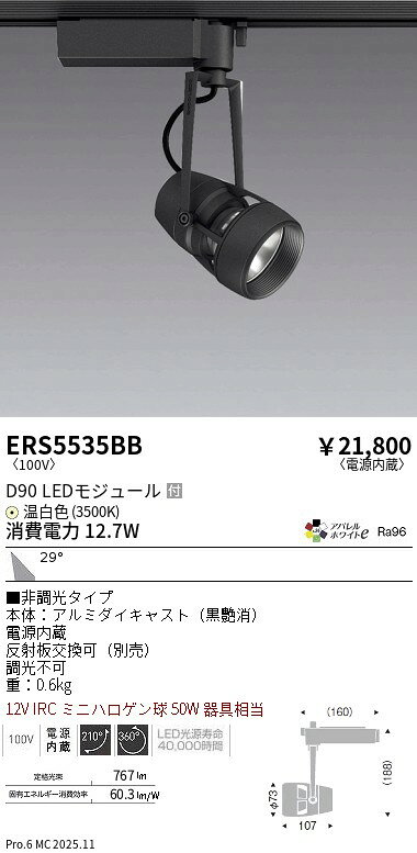 Rakuten - 6/20〜6/26 お買い物マラソン 最大47倍　【大特価】　遠藤 ERS5535BB