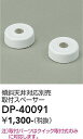 【最安値に挑戦】 大光 DP-40091