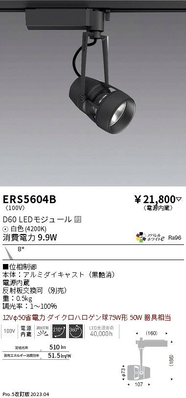 Japanese Style （Ceiling） - 【大特価】　遠藤 ERS5604B