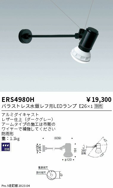 1/24～1/29 お買い物マラソン 最大47倍 【大特価】 遠藤 ERS4980H
