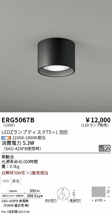 遠藤 ERG5067B