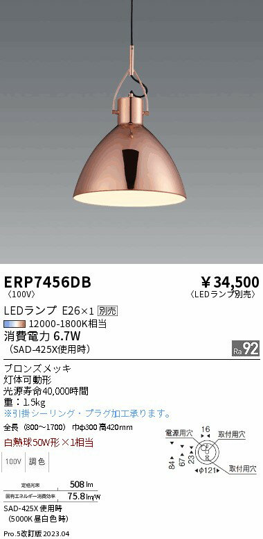 遠藤 ERP7456DB