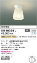 【最安値に挑戦】 コイズミ照明 KOIZUMI LED直付器具*AH40024L