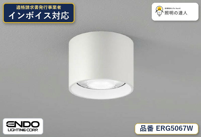 【大特価】　遠藤 ERG5067W
