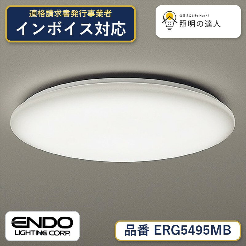 【大特価】　遠藤 ERG5495MB