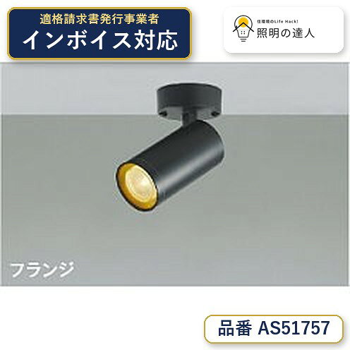 楽天市場】コイズミ スポットライトの通販