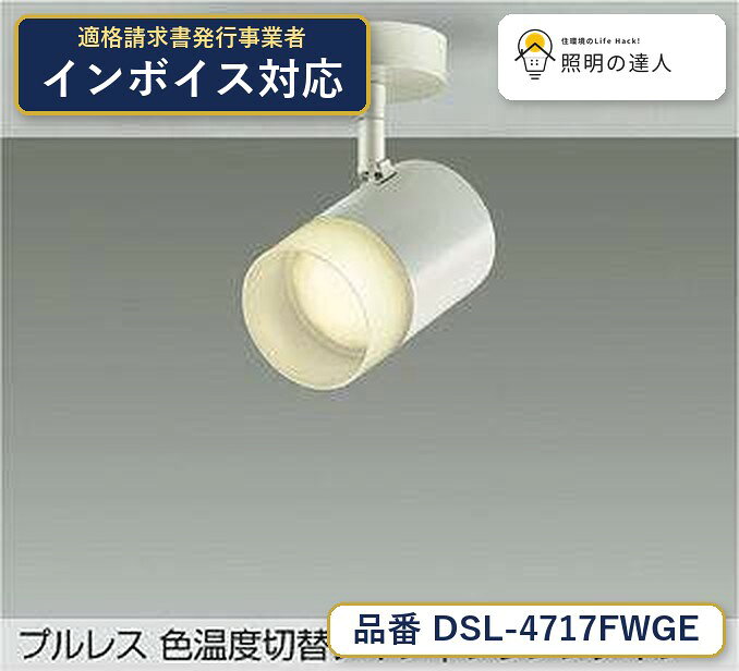 大光電機 DSL-4717FWGE スポットライト 電球色 700lm
