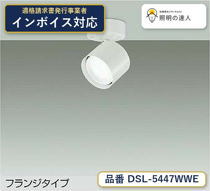 大光電機 DSL-5447WWE スポットライト 昼白色 520lm