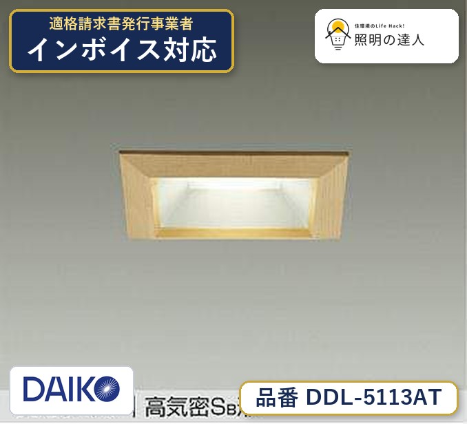 7/4〜7/11 お買い物マラソン 最大49.5倍　【最安値に挑戦】　 大光　DDL-5113AT