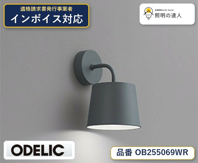 【大特価】　　 オーデリック ODELIC ブランケットライト OB255069WR
