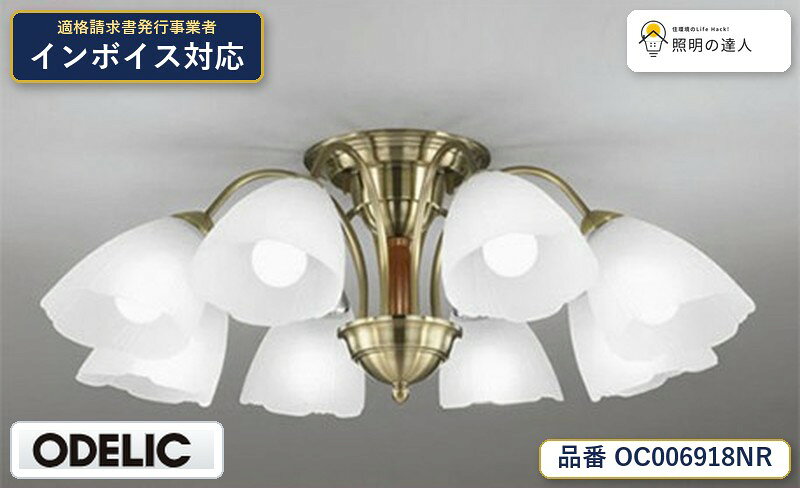 【照明器具の在庫・納期について】 現在、照明器具は一部メーカー・品番で在庫不足や納期遅延が発生しやすくなっています。 これまでのように「発注したらすぐ納品」が難しいケースも増えています。 蛍光灯2027年問題により、LED化需要も高まっています。 工事予定がある場合や数量が必要な場合は、早めの在庫確認・先発注をおすすめします。 欠品時は、同等品・代替品のご提案も可能です。