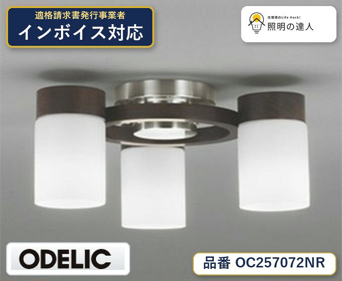 【照明器具の在庫・納期について】 現在、照明器具は一部メーカー・品番で在庫不足や納期遅延が発生しやすくなっています。 これまでのように「発注したらすぐ納品」が難しいケースも増えています。 蛍光灯2027年問題により、LED化需要も高まっています。 工事予定がある場合や数量が必要な場合は、早めの在庫確認・先発注をおすすめします。 欠品時は、同等品・代替品のご提案も可能です。