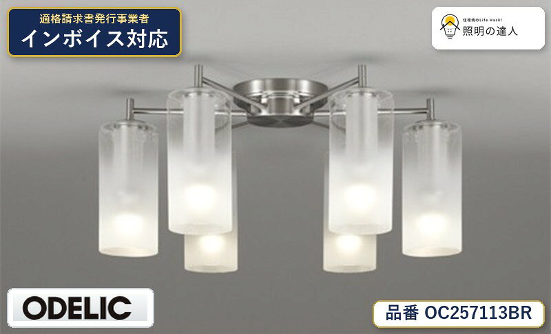 【照明器具の在庫・納期について】 現在、照明器具は一部メーカー・品番で在庫不足や納期遅延が発生しやすくなっています。 これまでのように「発注したらすぐ納品」が難しいケースも増えています。 蛍光灯2027年問題により、LED化需要も高まっています。 工事予定がある場合や数量が必要な場合は、早めの在庫確認・先発注をおすすめします。 欠品時は、同等品・代替品のご提案も可能です。