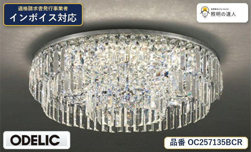 【照明器具の在庫・納期について】 現在、照明器具は一部メーカー・品番で在庫不足や納期遅延が発生しやすくなっています。 これまでのように「発注したらすぐ納品」が難しいケースも増えています。 蛍光灯2027年問題により、LED化需要も高まっています。 工事予定がある場合や数量が必要な場合は、早めの在庫確認・先発注をおすすめします。 欠品時は、同等品・代替品のご提案も可能です。