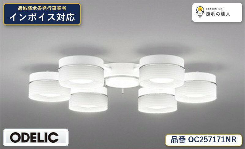 【照明器具の在庫・納期について】 現在、照明器具は一部メーカー・品番で在庫不足や納期遅延が発生しやすくなっています。 これまでのように「発注したらすぐ納品」が難しいケースも増えています。 蛍光灯2027年問題により、LED化需要も高まっています。 工事予定がある場合や数量が必要な場合は、早めの在庫確認・先発注をおすすめします。 欠品時は、同等品・代替品のご提案も可能です。