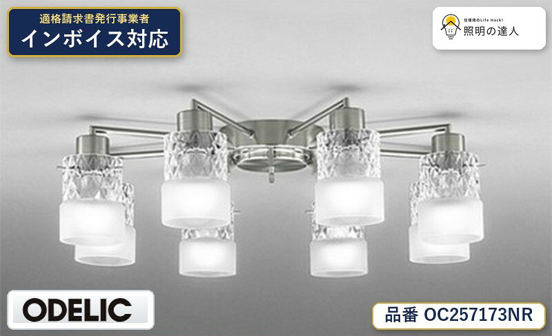 【照明器具の在庫・納期について】 現在、照明器具は一部メーカー・品番で在庫不足や納期遅延が発生しやすくなっています。 これまでのように「発注したらすぐ納品」が難しいケースも増えています。 蛍光灯2027年問題により、LED化需要も高まっています。 工事予定がある場合や数量が必要な場合は、早めの在庫確認・先発注をおすすめします。 欠品時は、同等品・代替品のご提案も可能です。