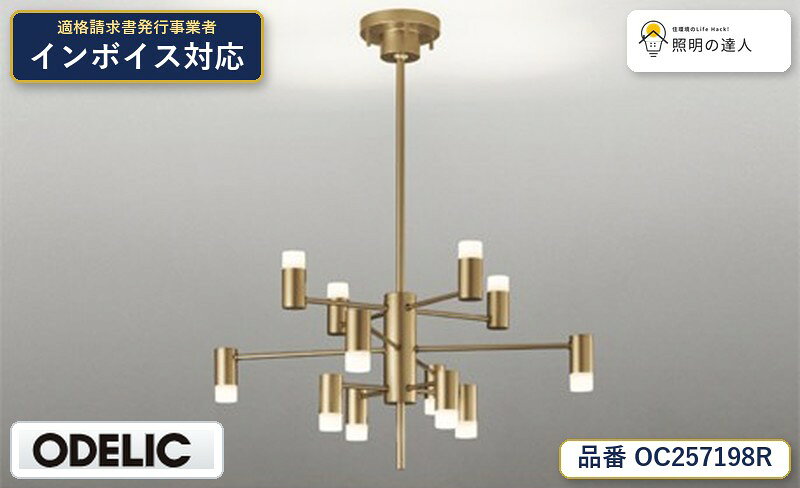 【照明器具の在庫・納期について】 現在、照明器具は一部メーカー・品番で在庫不足や納期遅延が発生しやすくなっています。 これまでのように「発注したらすぐ納品」が難しいケースも増えています。 蛍光灯2027年問題により、LED化需要も高まっています。 工事予定がある場合や数量が必要な場合は、早めの在庫確認・先発注をおすすめします。 欠品時は、同等品・代替品のご提案も可能です。