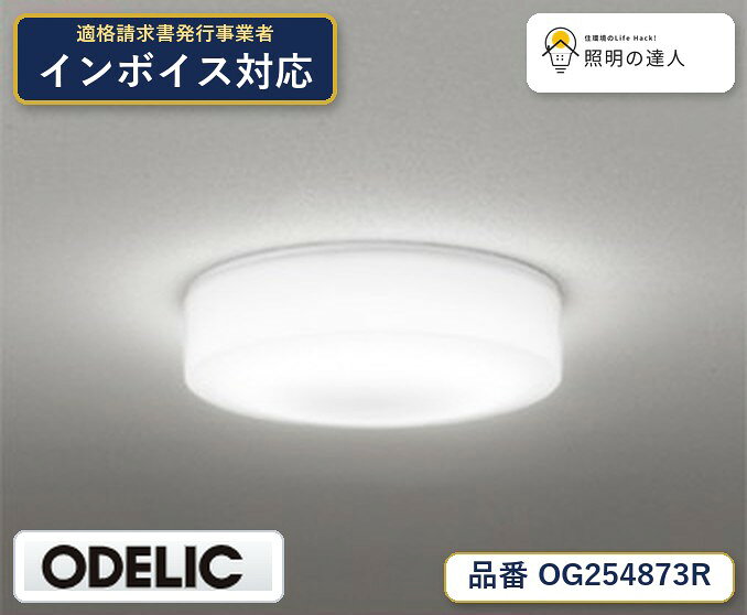 【照明器具の在庫・納期について】 現在、照明器具は一部メーカー・品番で在庫不足や納期遅延が発生しやすくなっています。 これまでのように「発注したらすぐ納品」が難しいケースも増えています。 蛍光灯2027年問題により、LED化需要も高まっています。 工事予定がある場合や数量が必要な場合は、早めの在庫確認・先発注をおすすめします。 欠品時は、同等品・代替品のご提案も可能です。
