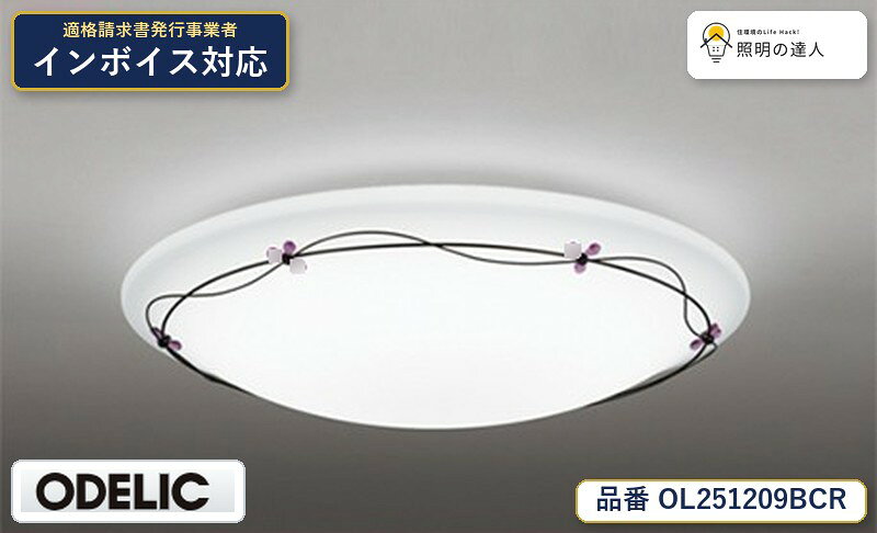 【照明器具の在庫・納期について】 現在、照明器具は一部メーカー・品番で在庫不足や納期遅延が発生しやすくなっています。 これまでのように「発注したらすぐ納品」が難しいケースも増えています。 蛍光灯2027年問題により、LED化需要も高まっています。 工事予定がある場合や数量が必要な場合は、早めの在庫確認・先発注をおすすめします。 欠品時は、同等品・代替品のご提案も可能です。