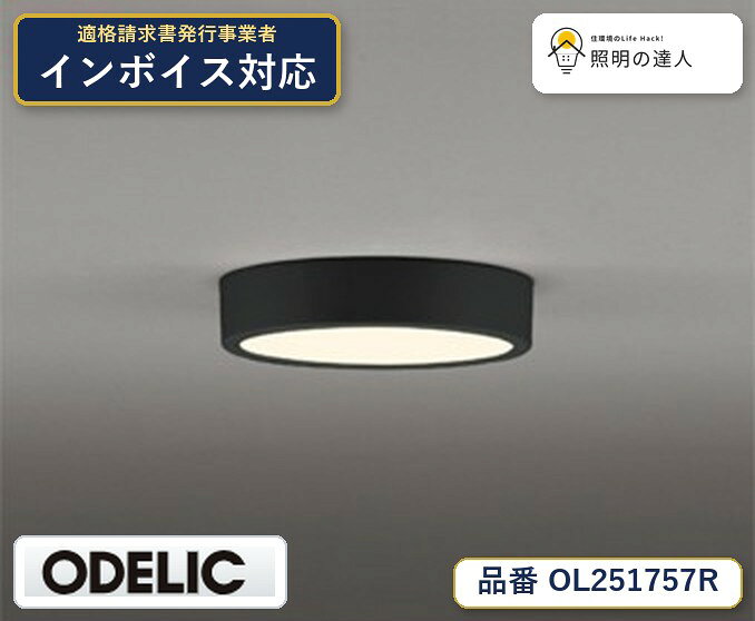【照明器具の在庫・納期について】 現在、照明器具は一部メーカー・品番で在庫不足や納期遅延が発生しやすくなっています。 これまでのように「発注したらすぐ納品」が難しいケースも増えています。 蛍光灯2027年問題により、LED化需要も高まっています。 工事予定がある場合や数量が必要な場合は、早めの在庫確認・先発注をおすすめします。 欠品時は、同等品・代替品のご提案も可能です。