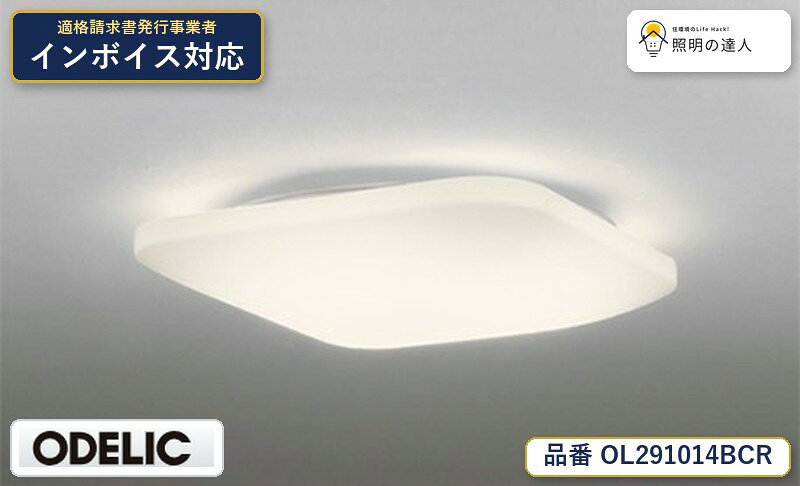 【照明器具の在庫・納期について】 現在、照明器具は一部メーカー・品番で在庫不足や納期遅延が発生しやすくなっています。 これまでのように「発注したらすぐ納品」が難しいケースも増えています。 蛍光灯2027年問題により、LED化需要も高まっています。 工事予定がある場合や数量が必要な場合は、早めの在庫確認・先発注をおすすめします。 欠品時は、同等品・代替品のご提案も可能です。