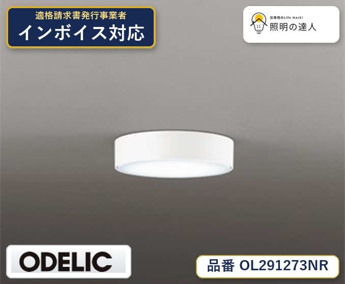 【照明器具の在庫・納期について】 現在、照明器具は一部メーカー・品番で在庫不足や納期遅延が発生しやすくなっています。 これまでのように「発注したらすぐ納品」が難しいケースも増えています。 蛍光灯2027年問題により、LED化需要も高まっています。 工事予定がある場合や数量が必要な場合は、早めの在庫確認・先発注をおすすめします。 欠品時は、同等品・代替品のご提案も可能です。