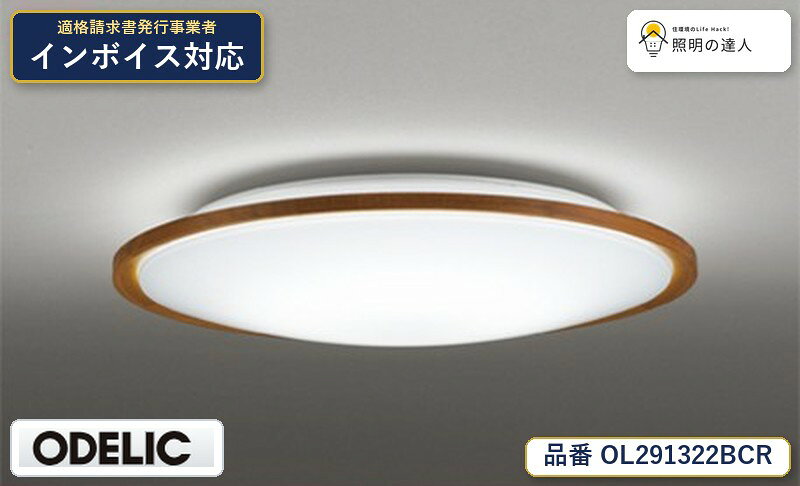 【照明器具の在庫・納期について】 現在、照明器具は一部メーカー・品番で在庫不足や納期遅延が発生しやすくなっています。 これまでのように「発注したらすぐ納品」が難しいケースも増えています。 蛍光灯2027年問題により、LED化需要も高まっています。 工事予定がある場合や数量が必要な場合は、早めの在庫確認・先発注をおすすめします。 欠品時は、同等品・代替品のご提案も可能です。