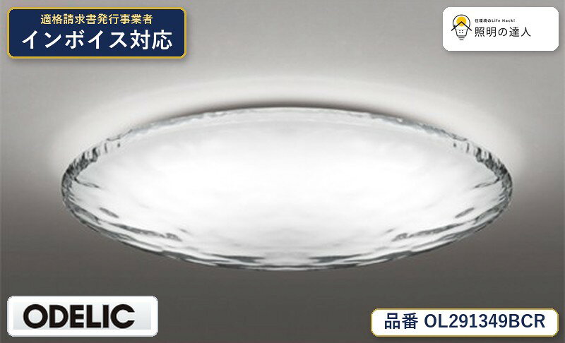 【照明器具の在庫・納期について】 現在、照明器具は一部メーカー・品番で在庫不足や納期遅延が発生しやすくなっています。 これまでのように「発注したらすぐ納品」が難しいケースも増えています。 蛍光灯2027年問題により、LED化需要も高まっています。 工事予定がある場合や数量が必要な場合は、早めの在庫確認・先発注をおすすめします。 欠品時は、同等品・代替品のご提案も可能です。
