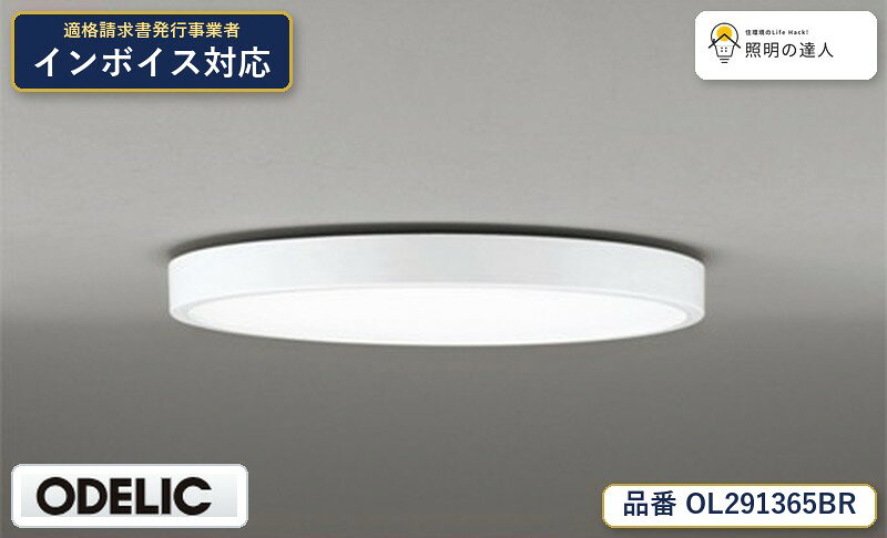 楽天市場】ol 291 365brの通販